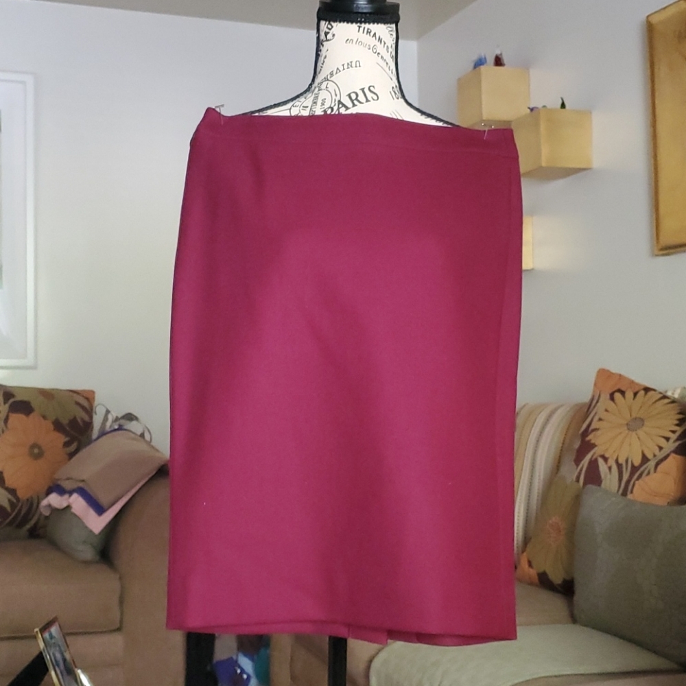 #2 Pencil skirt with lining (gently used)
